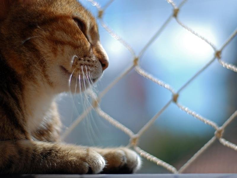 Garanta a segurança de sua família com rede residencial em Niterói