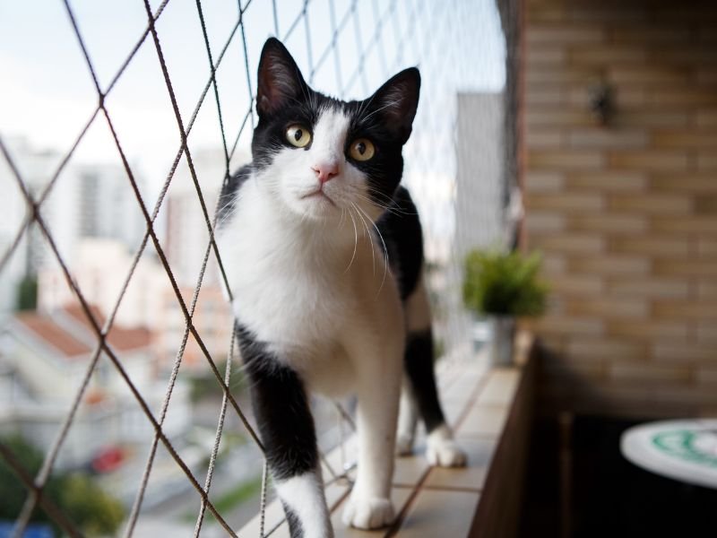 Redes de segurança residencial em Niterói